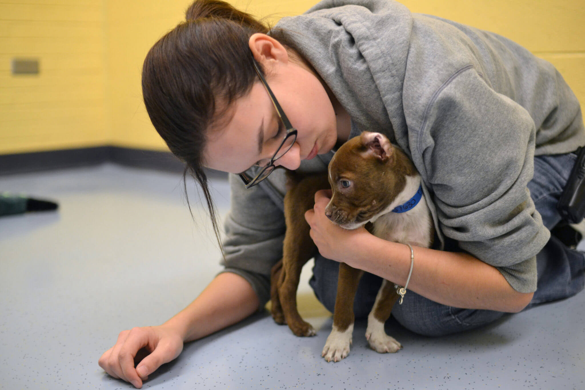 Our hard working staff cares greatly for each animal that comes through our doors.