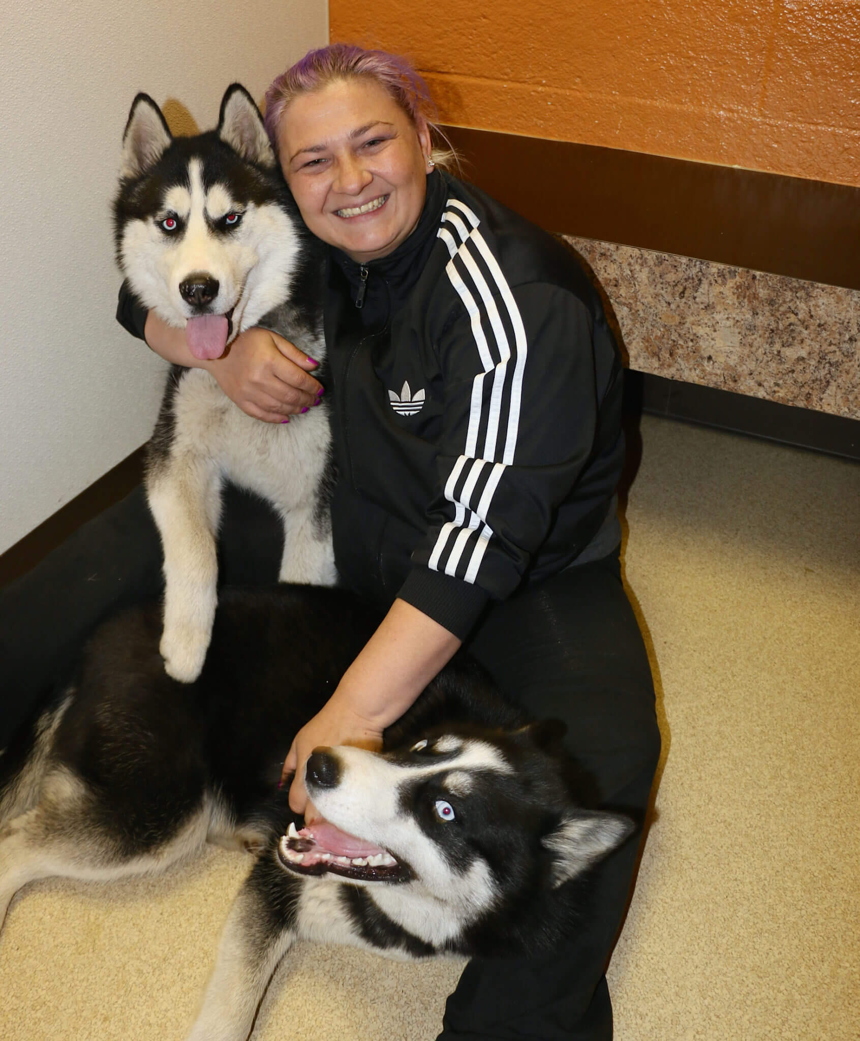 We have many pet lovers in our community, and we want to work with them to keep animals in their homes. These two huskies were ecstatic to be reunited with their owner after they were lost. 