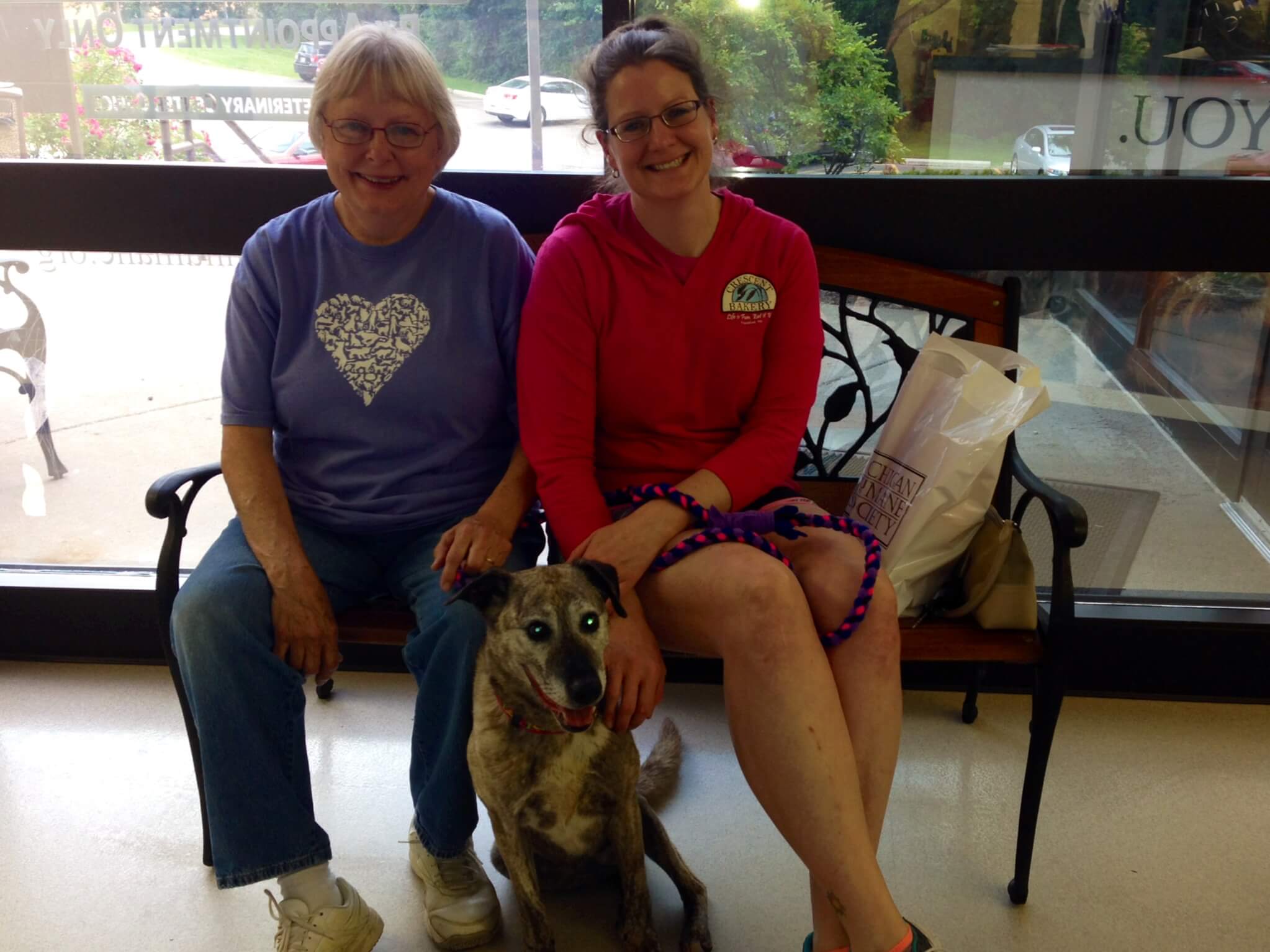 Senior dog Miss Brittney had been with us for quite a while, and found her perfect home thanks to our AARP partnership!