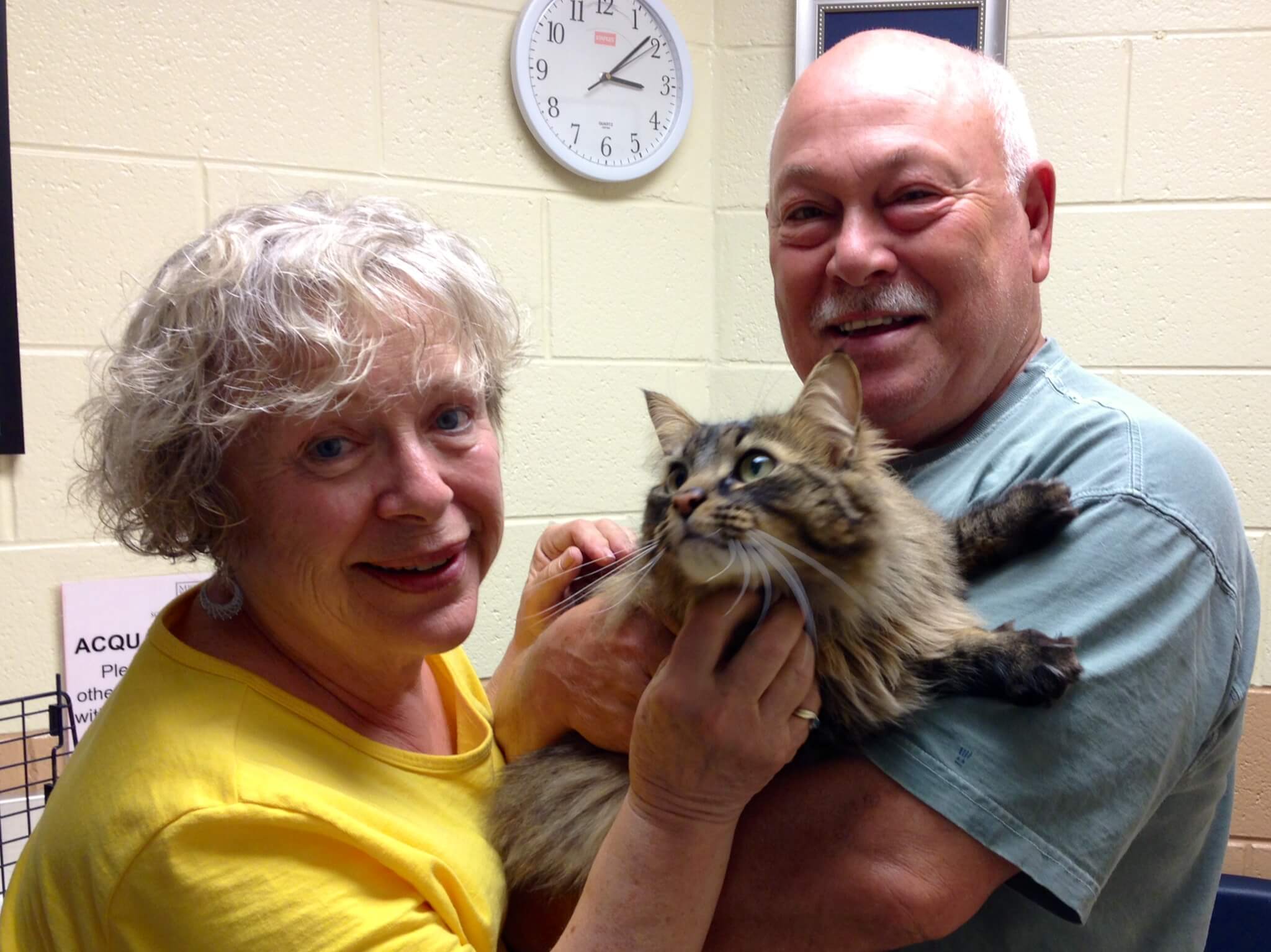 Tasha and her new parents are the "purrfect" match!