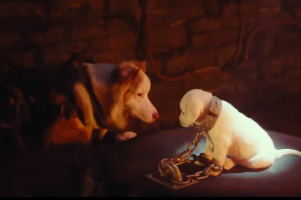 Tomb Raider Dogs