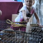 Meet Your Best Friend at the Zoo