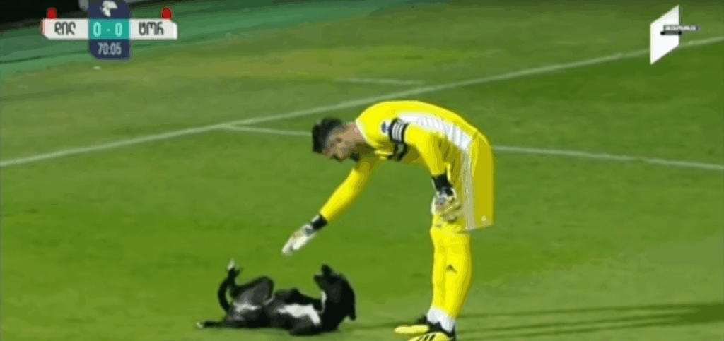 Dog Interrupts Soccer Game