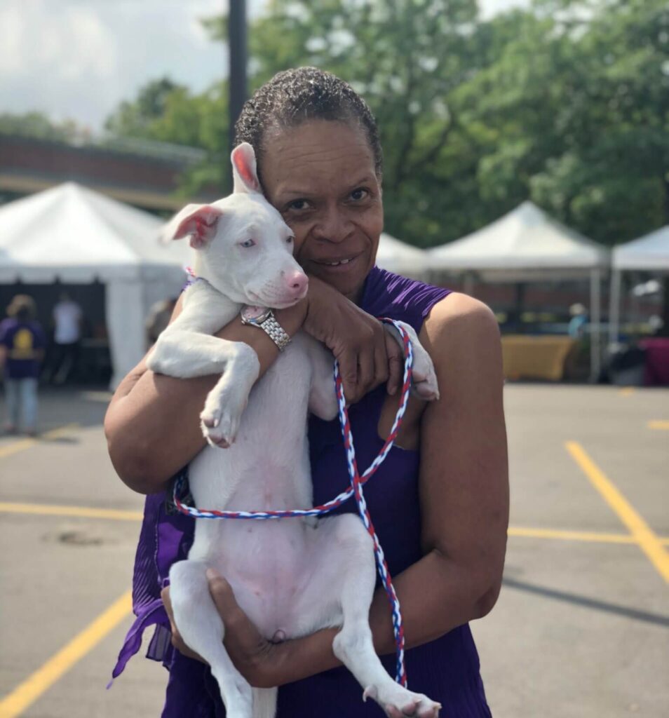 Sugar's adoption story at Michigan Humane Society.