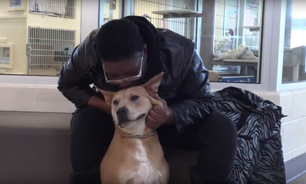 Dog displaced by Hurricane Michael reunites with family at Michigan Humane Society.