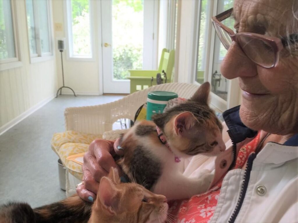 Sylvia Eston cared for many animals that were rescued by the Michigan Humane Society.