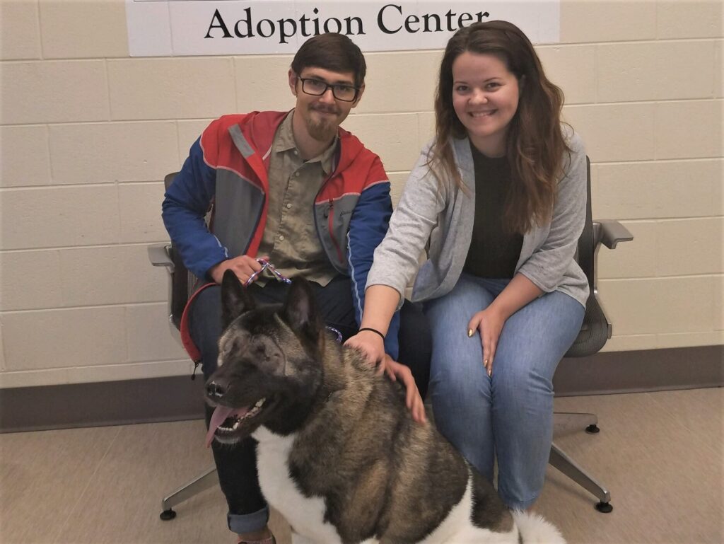 Miyoshi, a blind dog, was adopted at the Michigan Humane Society.