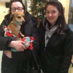 Bissell Pet Foundation's Empty the Shelters at Michigan Humane Society