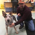 Bissell Pet Foundation's Empty the Shelters at Michigan Humane Society