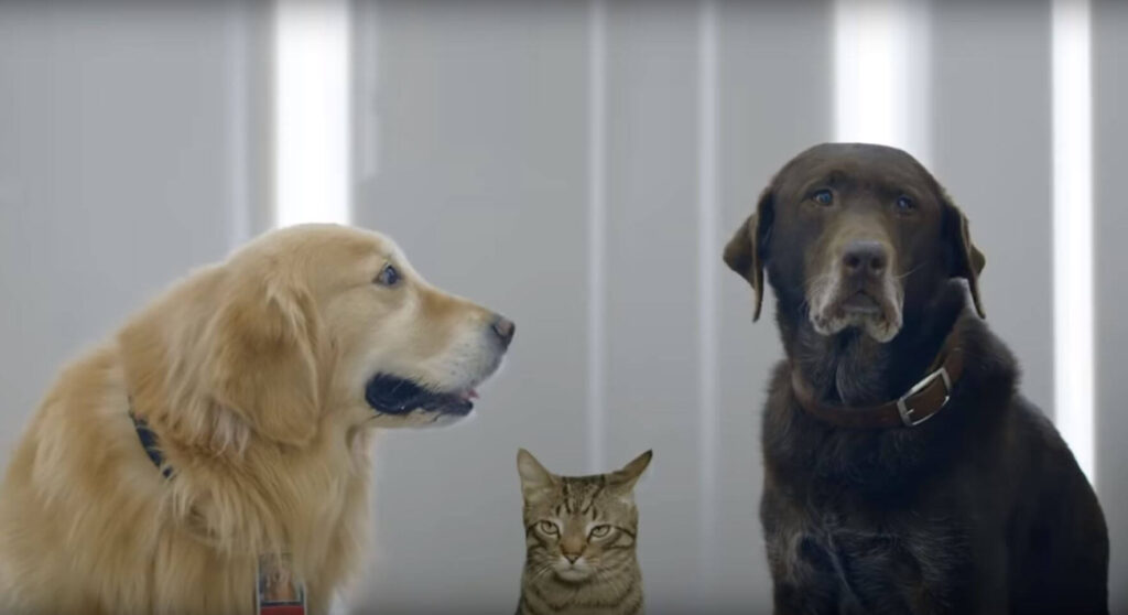 WeatherTech's 2019 Super Bowl ad features pets.