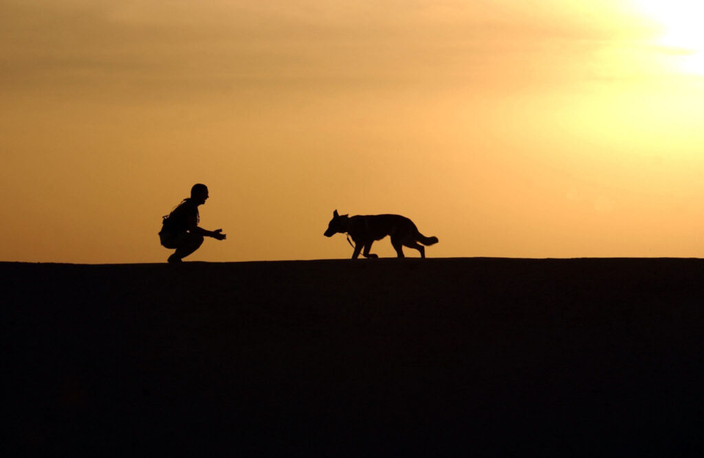 A man with a dog during sunset.