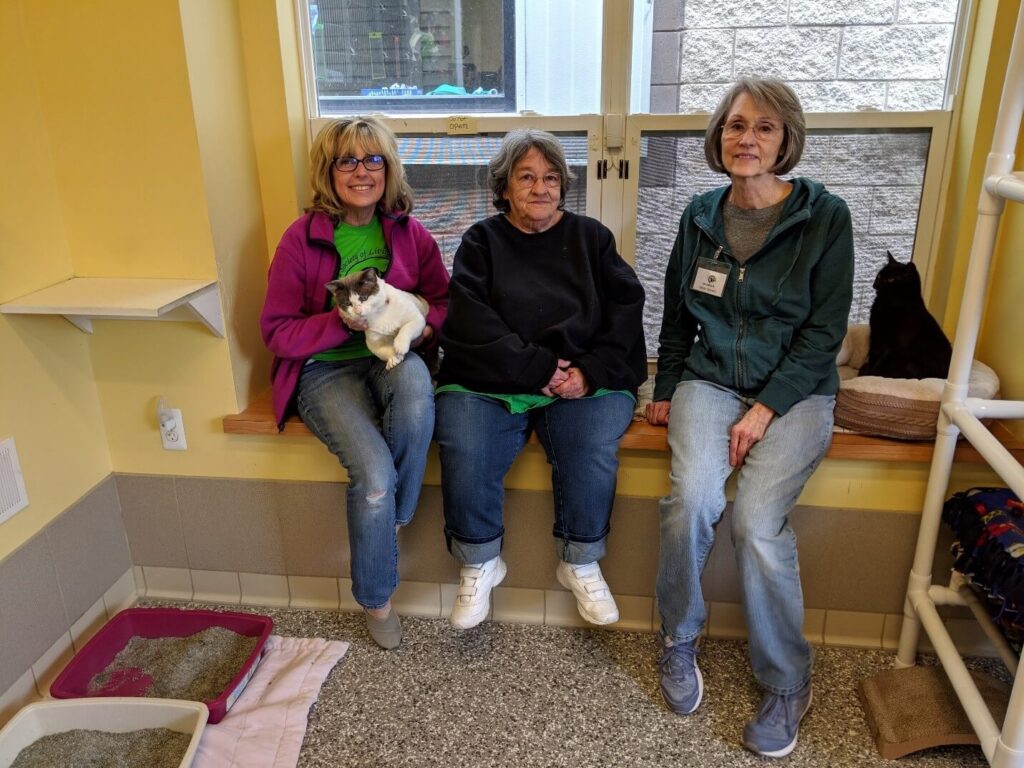 Cat program volunteers at Humane Society of Livingston County.
