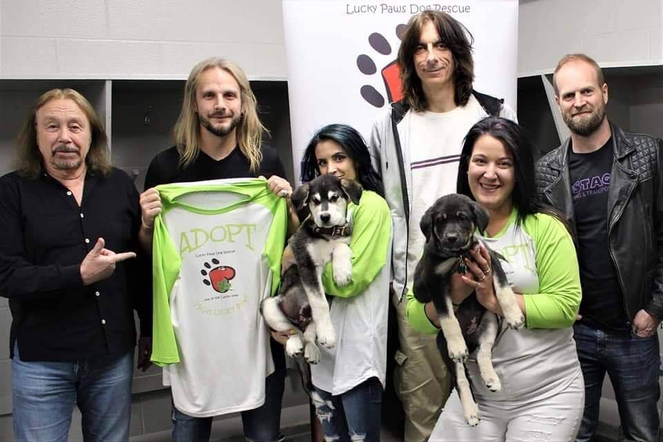 Judas Priest with rescue dogs.