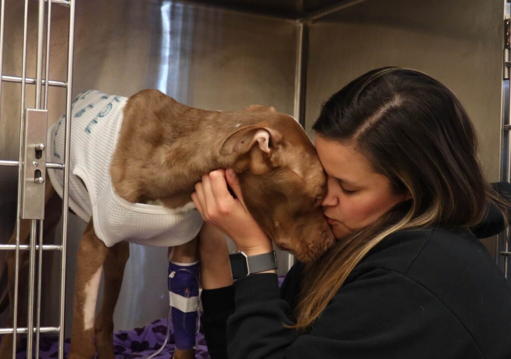 Michigan Humane animal rescue officer and dog.