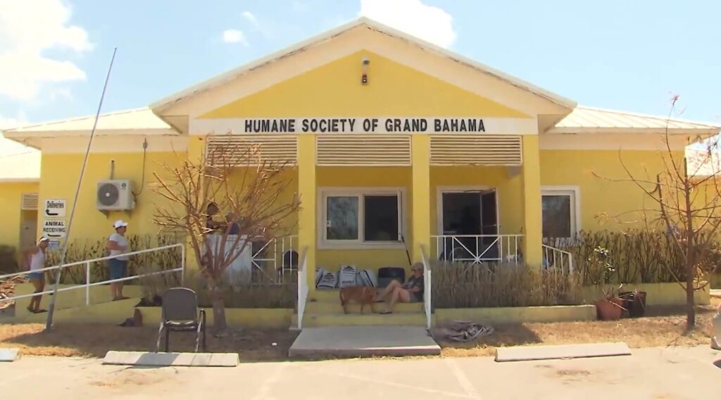Humane Society of Grand Bahamas