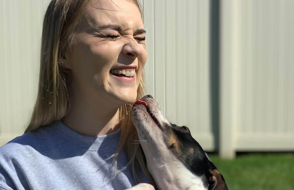 Girl playing with shelter dog.
