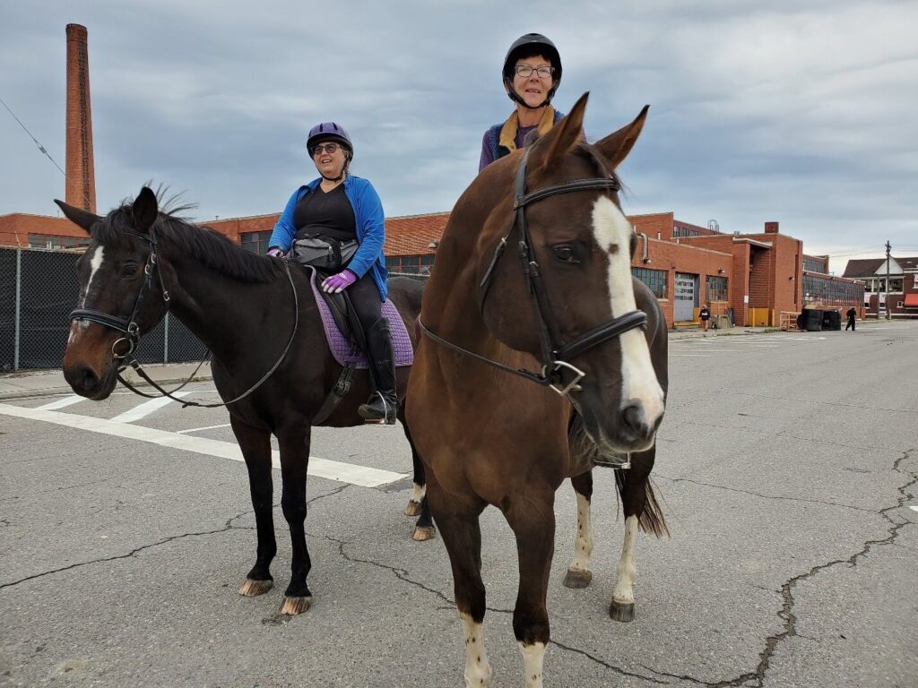 Horses at Giddy Up Pup.