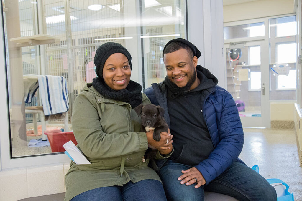 Couple adopts a puppy at the Michigan Humane Society.