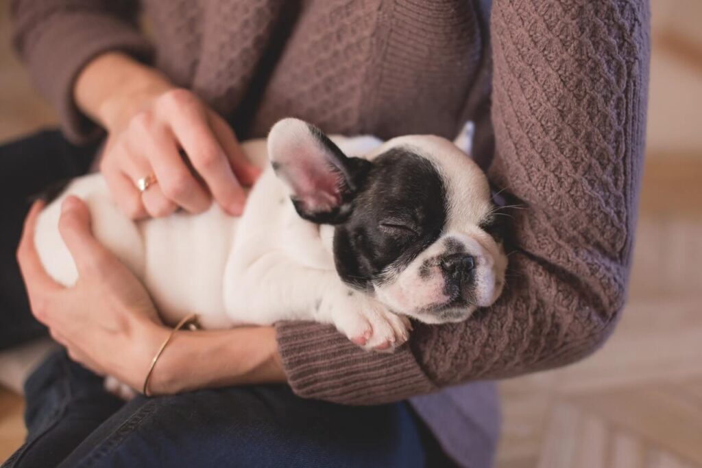 Woman holding dog in her arms.