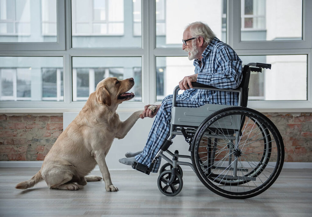 Old man in wheelchair comforted by dog.