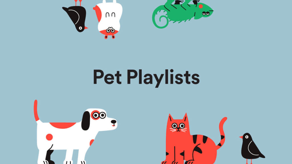 Spotify pet playlist.