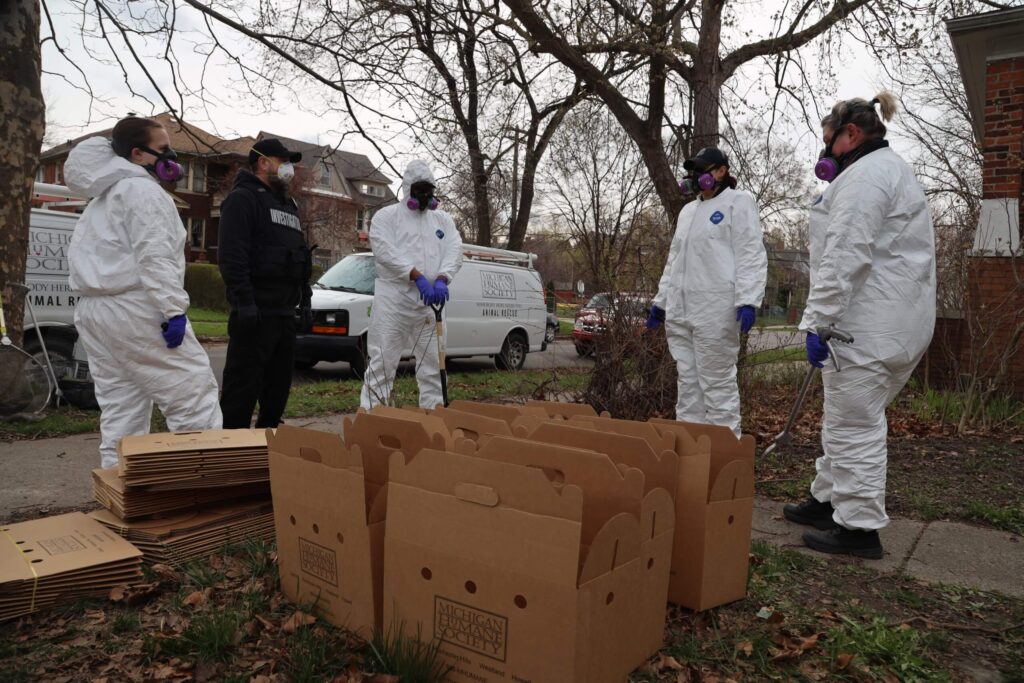 Michigan Humane investigators