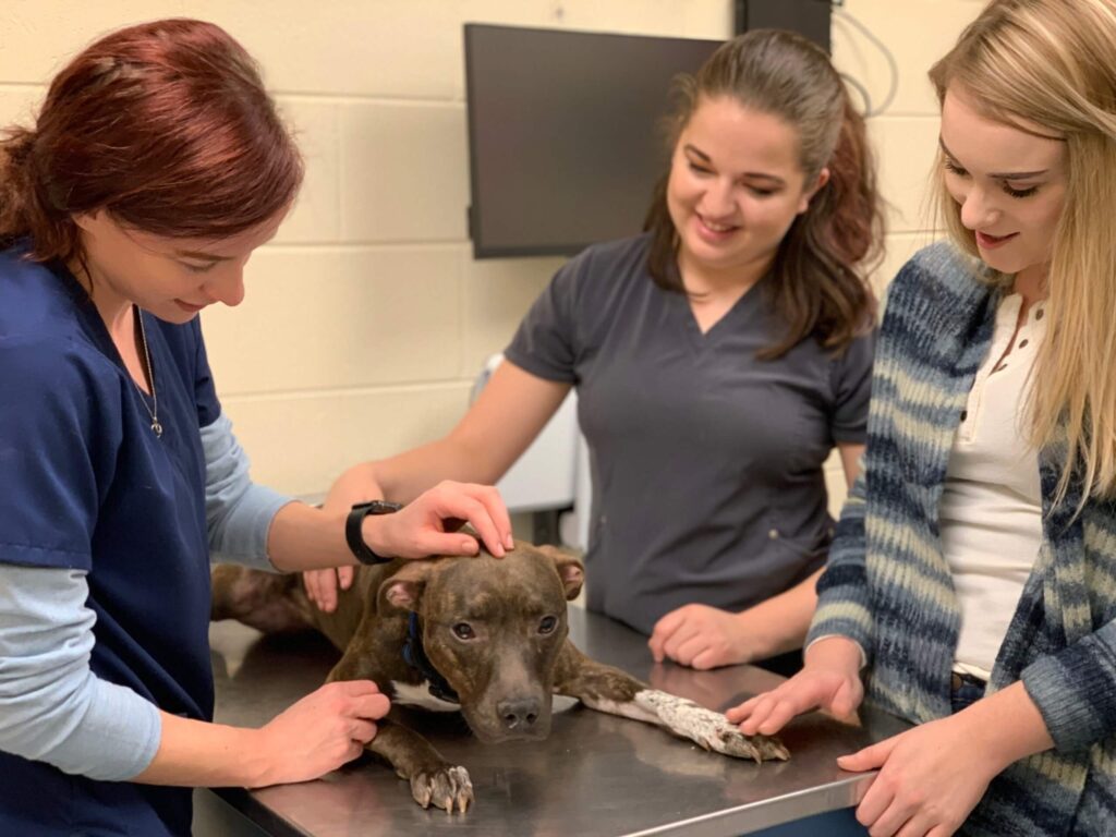 MHS Veterinary Clinic