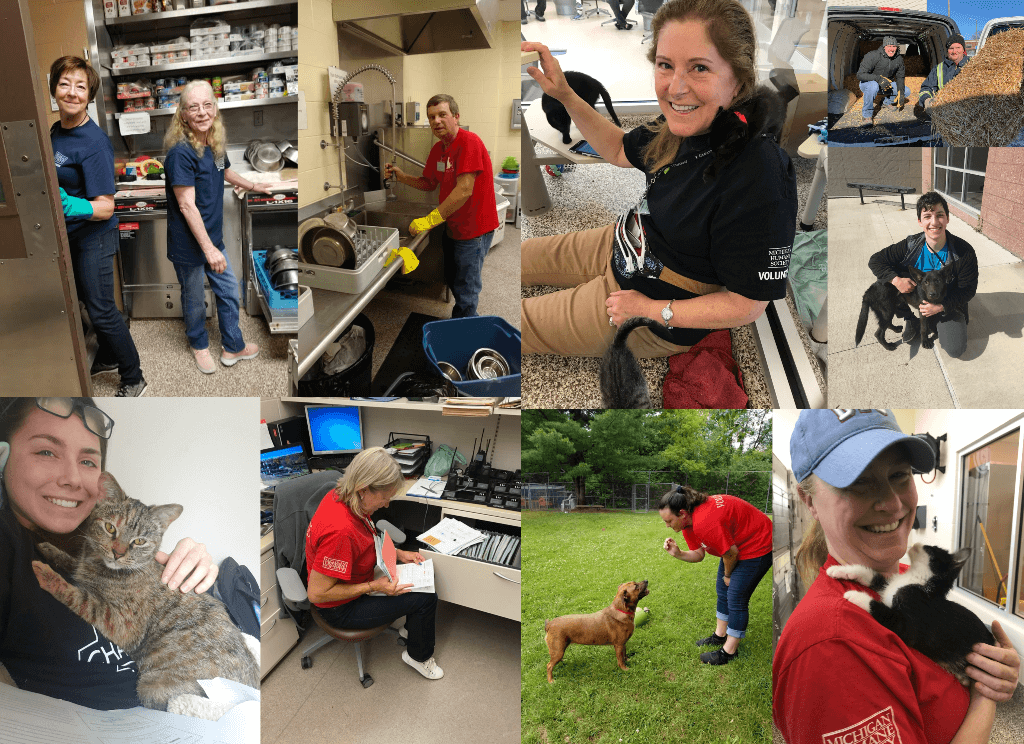 Michigan Humane volunteers
