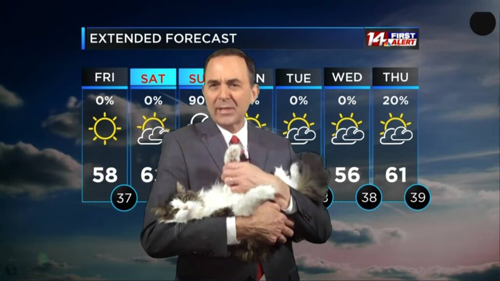 Weatherman's cat
