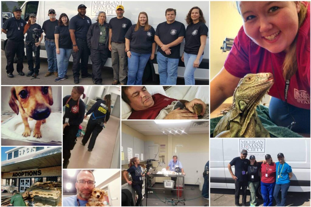 Michigan Humane during Hurricane Harvey
