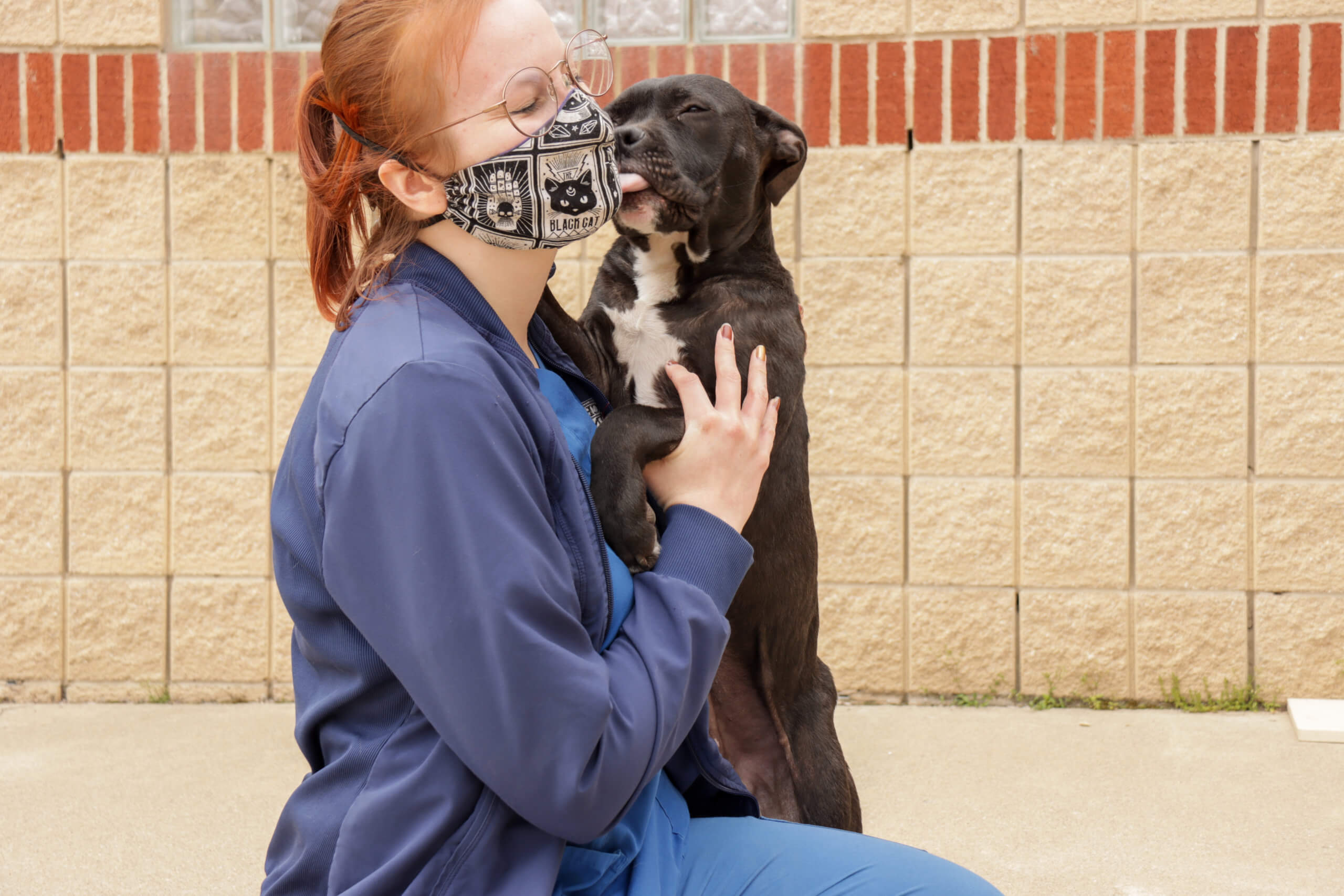 Dog licks woman.