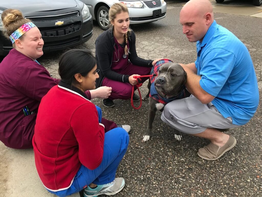 Michigan Humane externships