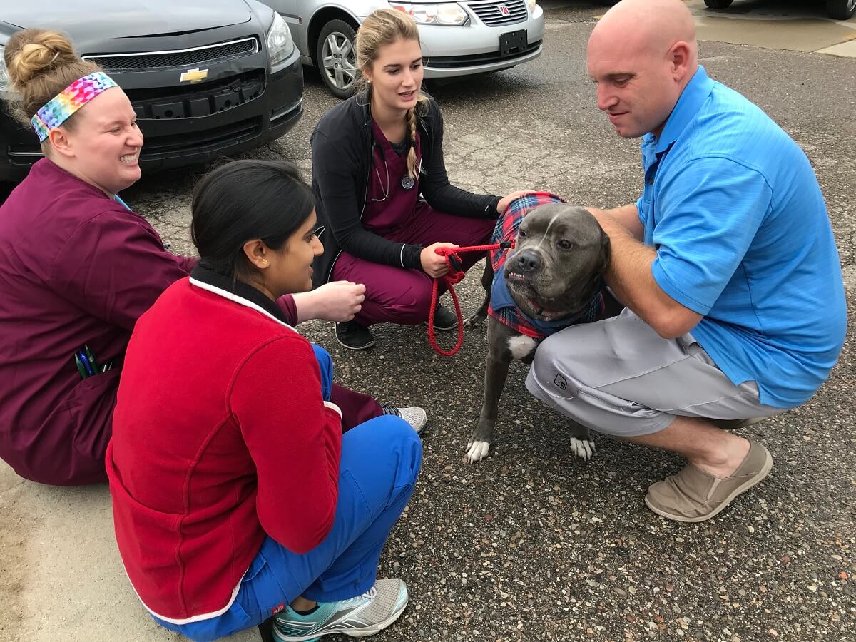 Michigan Humane externships