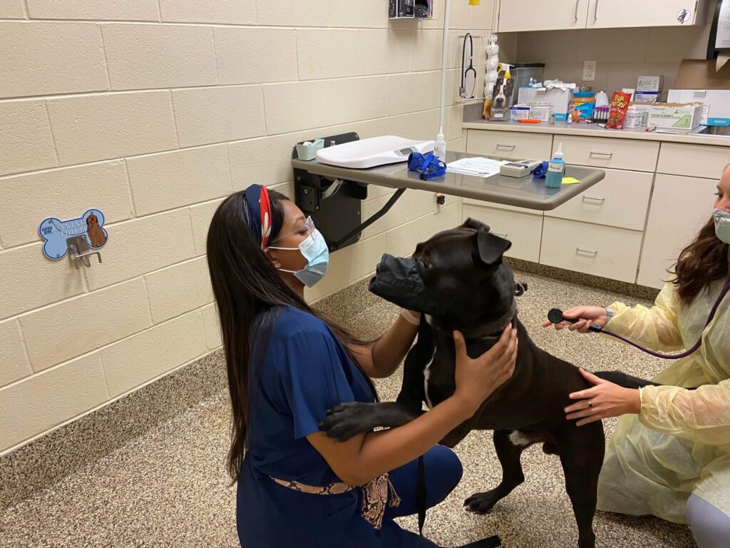 One Health Michigan Humane