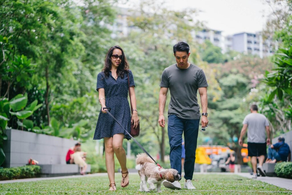 Couple walking their dog.