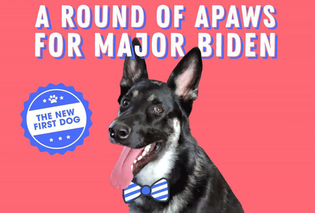 Major Biden Indoguration