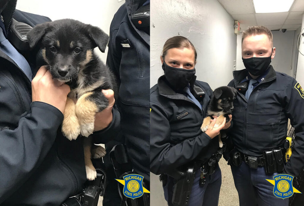 Michigan State Police and puppy