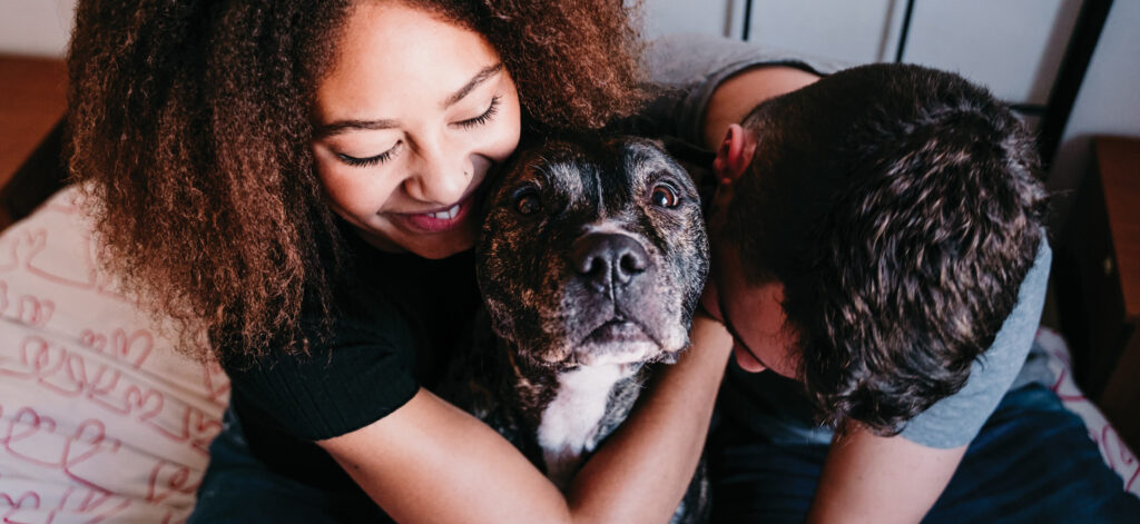 Adopt a Pet at Michigan Humane