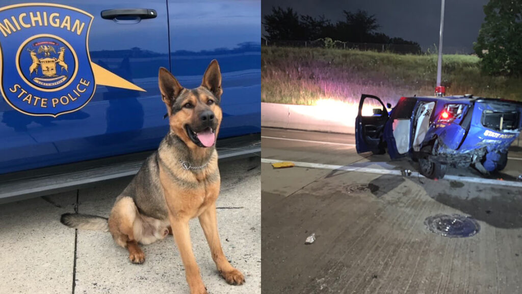 Rex Michigan State Police K9