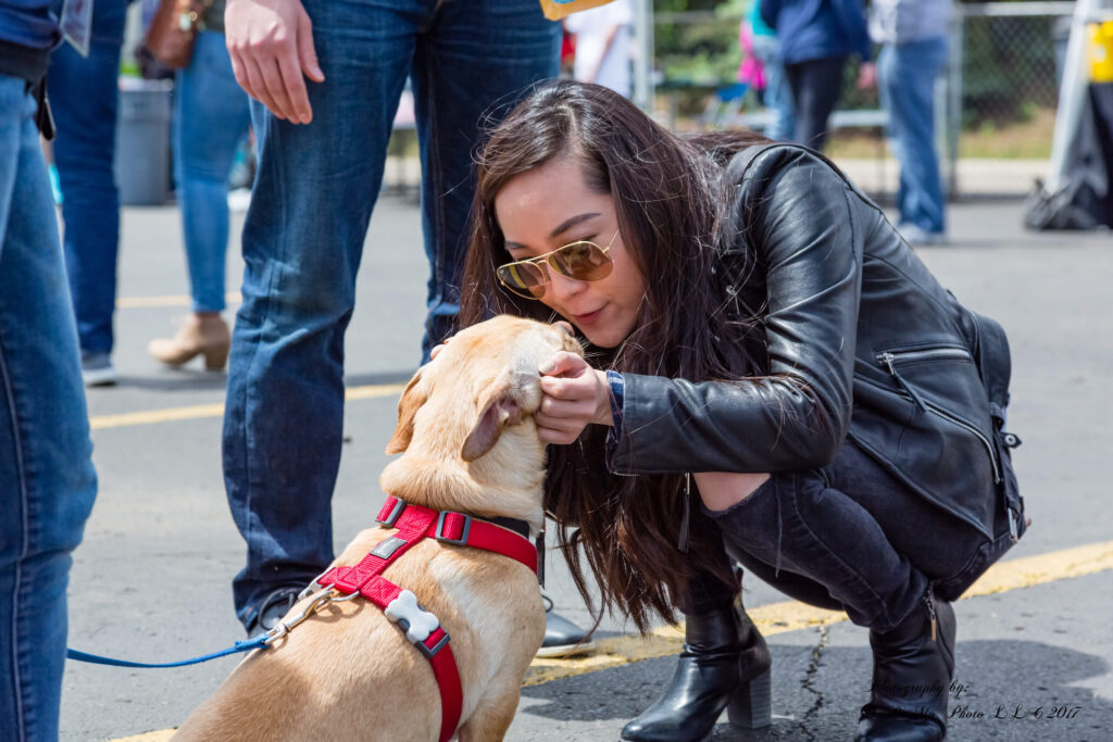 Woman meeting dog at Meet Your Best Friend event