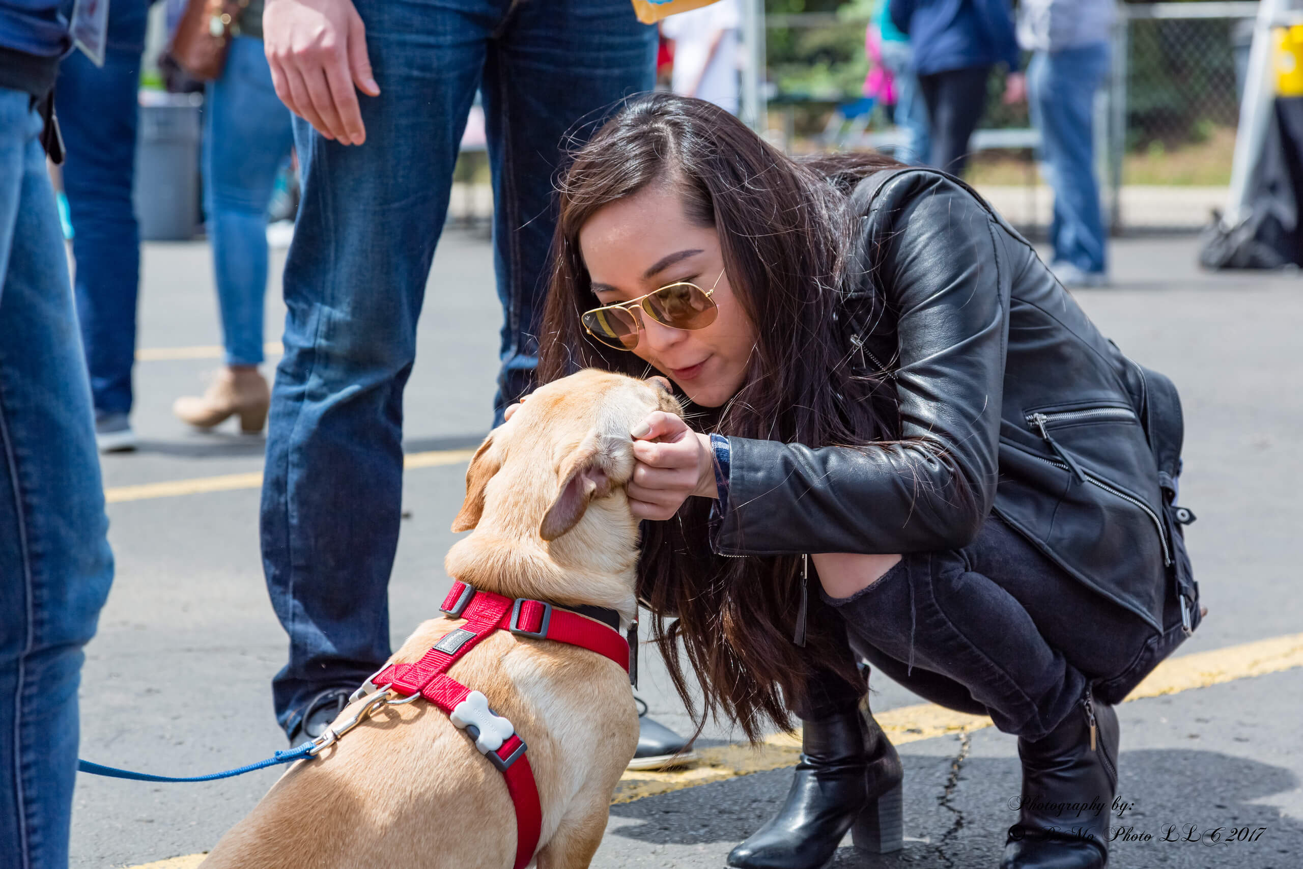 Woman meeting dog at Meet Your Best Friend event