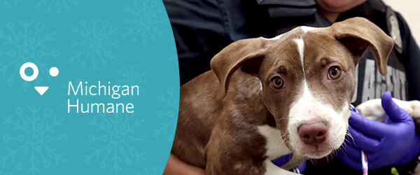 Michigan Humane Home For The Holidays