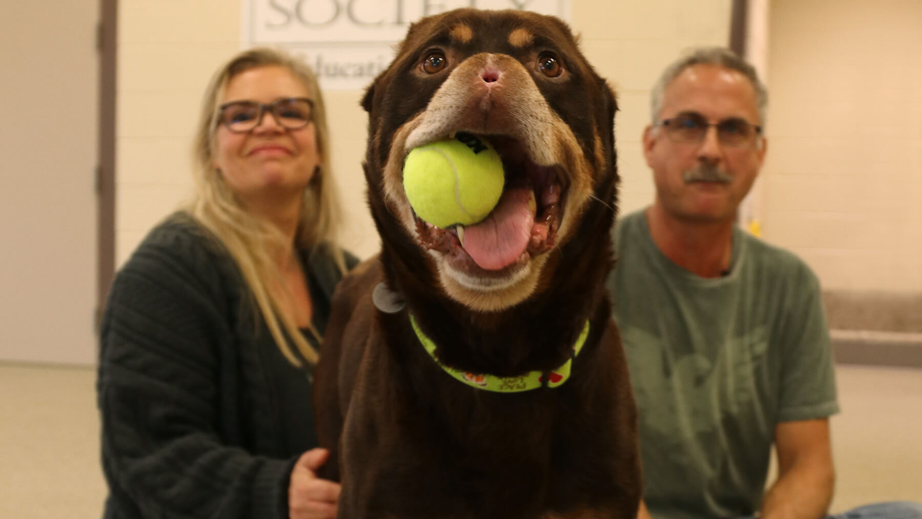 Baron's adoption day at Michigan Humane