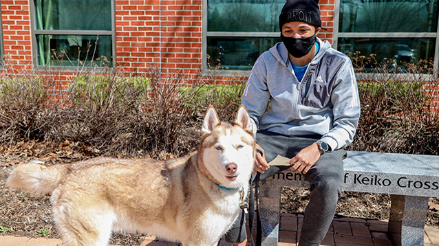 Michigan Humane Safety Net Foster Program