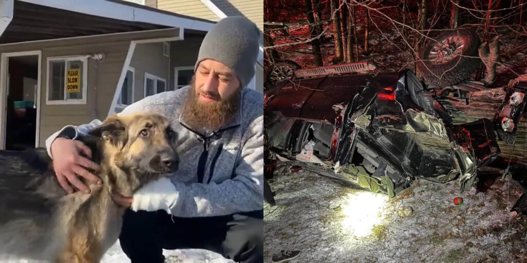 Tinsley the Hero Dog