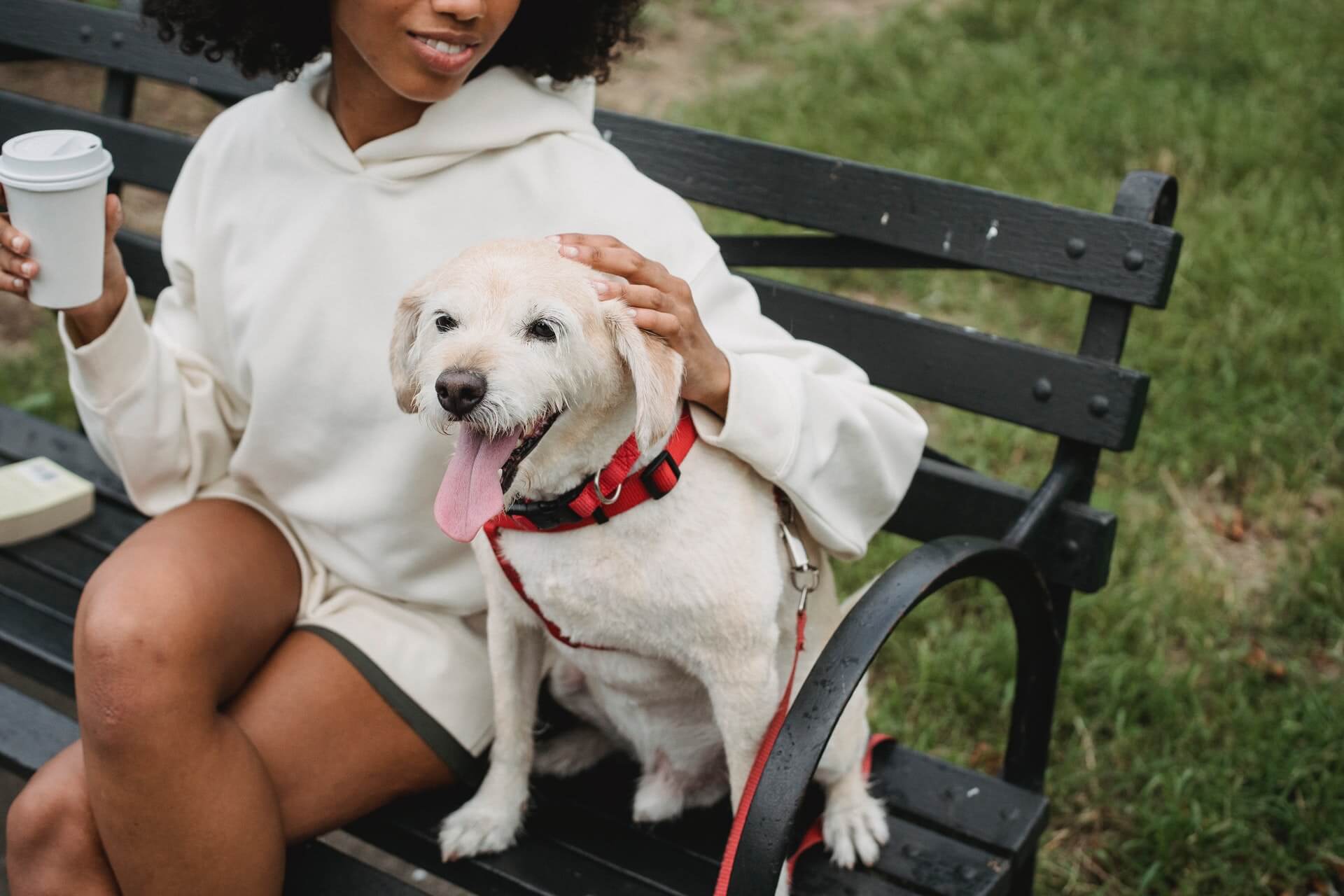 Woman and dog sitting on bench