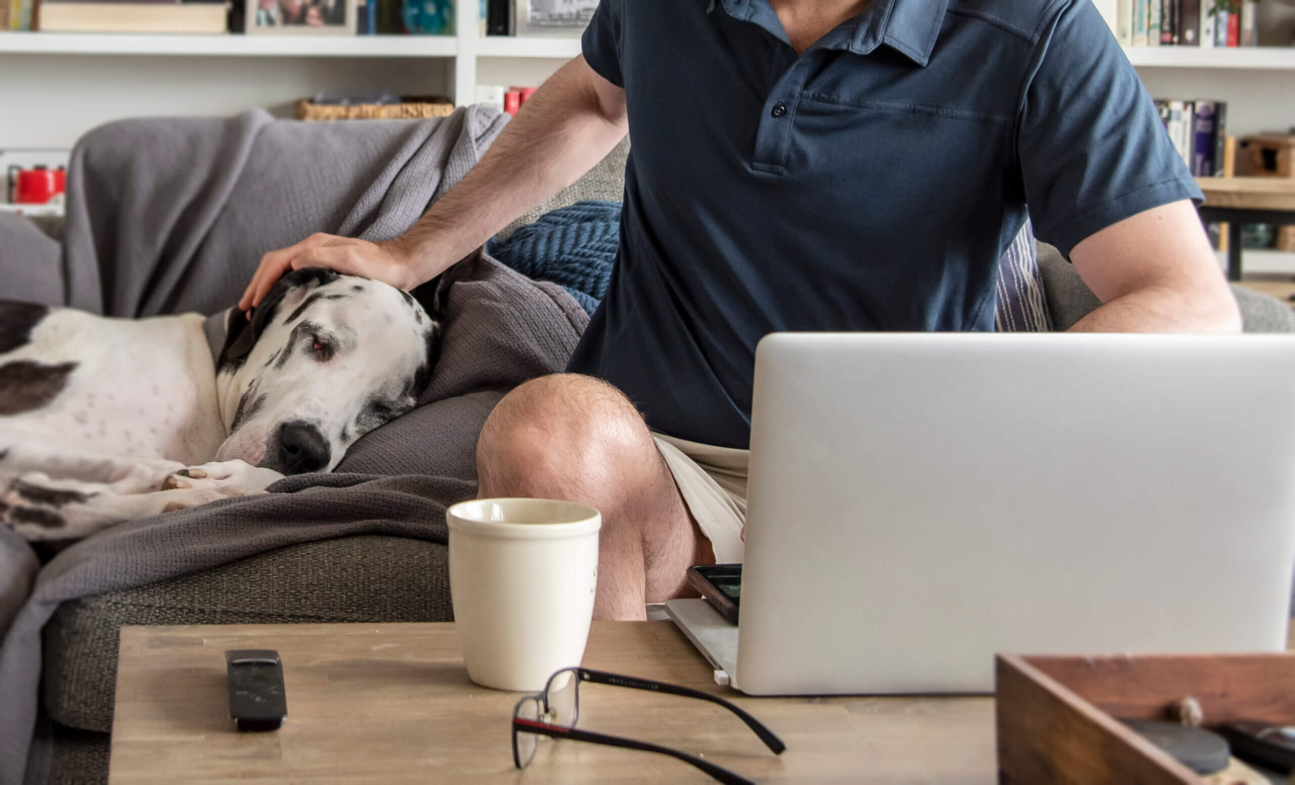 Man using computer laptop to consult with a animal veterinarian from home