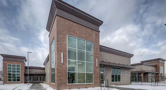 Affordable Veterinary Clinics Across Michigan