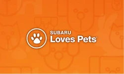 Suburu