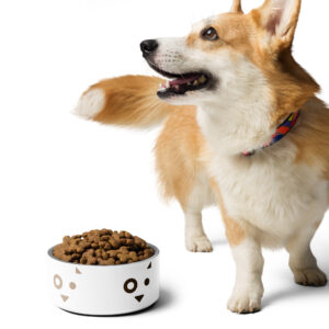 Michigan Humane Pet bowl